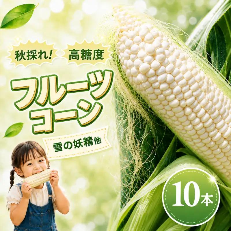 【先行予約】（2026年11月~順次発送）【とうもろこし】 (ホワイト種 10本) 高知県産 とうもろこし