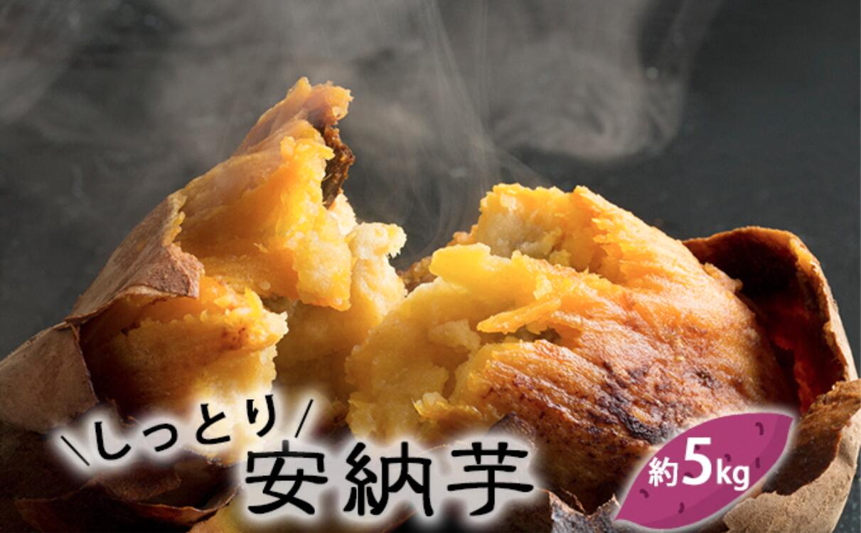【ふるさと納税】富山県産 さつまいも（しっとり！安納芋）約5kg 富山県 氷見市 野菜 サツマイモ さつまいも