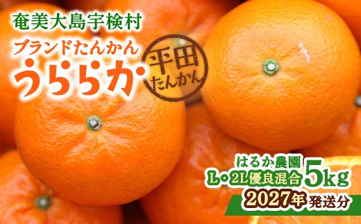 
                  【先行予約 2027年1月下旬～出荷開始】 ブランド たんかん うららか (5kg) L 2L サイズ 糖度10%以上 数量限定 期間限定 タンカン 果物 フルーツ 柑橘 鹿児島 奄美大島 宇検村 平田たんかん倶楽部 はるか農園
                