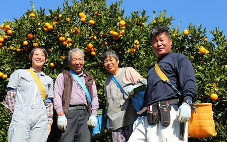 1271R-2_【先行予約・年明け配送】令和7年1月から出荷開始/荒木一番みかん約5kg 