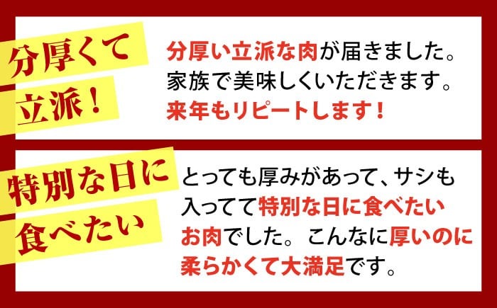 佐賀牛 A5 シャトーブリアンとサーロインの極上セット 計1.3kg【山下牛舎】 [HAD147] シャトーブリアン ステーキ