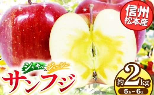 【先行受付：2026年発送】州松本産　サンふじ　5～６玉約2kg 通常品 │ 林檎 りんご リンゴ サンふじ 果汁 果物 貴重 くだもの フルーツ 自然 旬 ご褒美 長野県 信州 松本 ふるさと納税