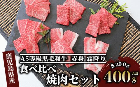 A5等級鹿児島県産黒毛和牛食べ比べ焼肉セット(カミチク/IB112-008)