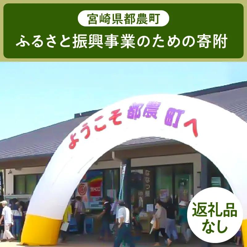≪返礼品なし≫宮崎県都農町のふるさと振興事業のための寄附【1口 6,000円】T000-007-06