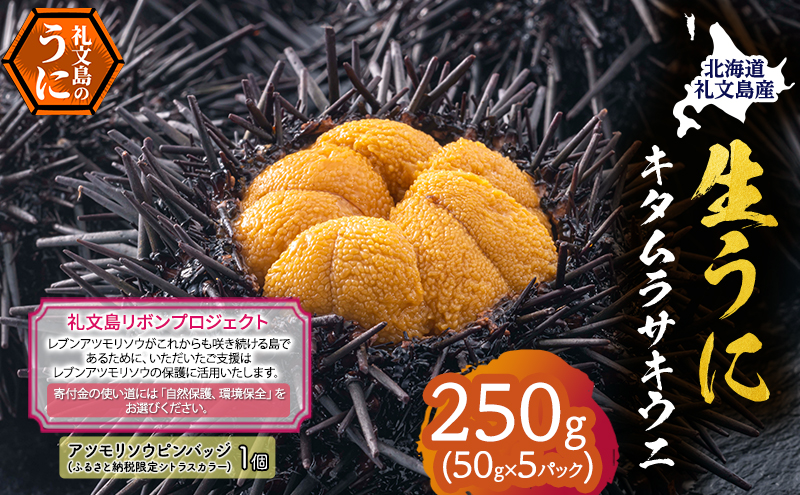 【礼文島リボンプロジェクト】北海道 礼文島産 採れたて ミョウバン不使用 キタムラサキウニ 塩水パック 250g(50g×5個)ピンバッジ付［株式会社やまじょう］【 うに ウニ 雲丹 生うに 塩水うに 自然保護 寄付 海鮮 】