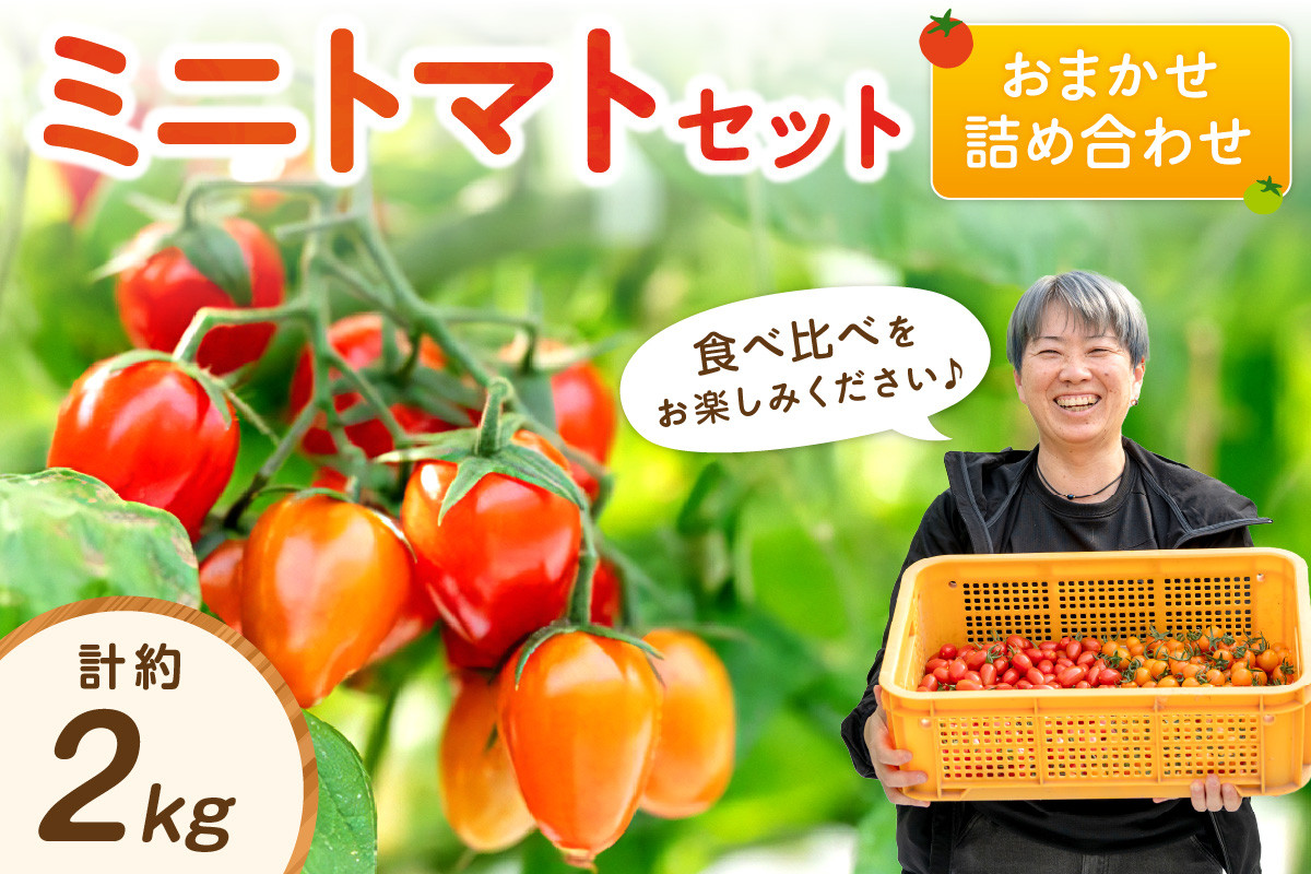 
                  ミニトマトセット（おまかせ詰め合わせ）約2kg《先行予約》
                