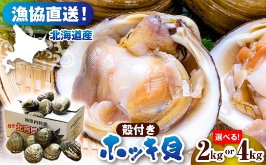 
                  【数量限定/選べる内容量】 獲れたて直送 ホッキ貝【 約2kg / 約4kg 】 （ほっき貝 北寄貝 貝 魚介類 魚貝類 海鮮 北海道産 道産 新鮮 活魚 産地直送 生 国産 とよとみ 北海道 豊富町）
                