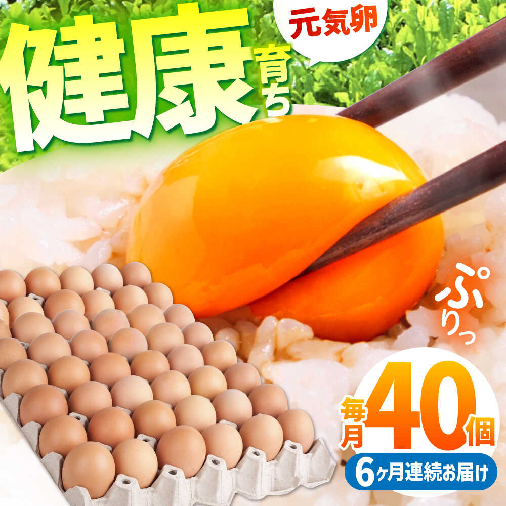 【ふるさと納税】【全6回定期便】お茶と海藻で健康育ち 元気卵 240個（40個×6回） / 卵 定期便 玉子 たまご タマゴ 6か月 6ヵ月 6カ月 6ケ月 定期 / 亀山市 / 藪本養鶏園[AMBH007]