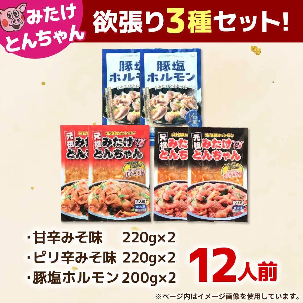 「元祖みたけとんちゃん」 3種セット（12人前）[AVAA057]ホルモン 食べ比べ