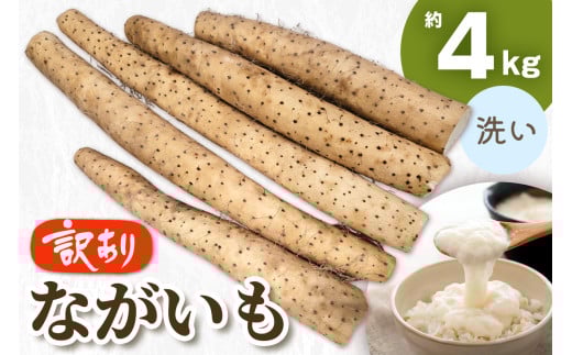 訳あり ながいも 約4kg (洗い)｜長いも 長芋 ナガイモ 山芋 ヤマイモ やまいも 訳アリ とろろ 滋養強壮 青森産 [0788]