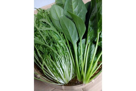 【先行予約】京丹後冬鍋野菜セット（2025年11月中旬～発送）