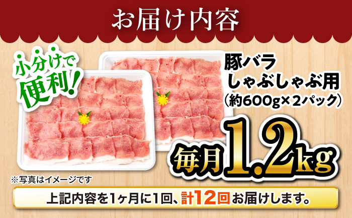 【訳あり】【月1回約1.3kg×12回定期便】大西海SPF豚 バラ（しゃぶしゃぶ用）計15.6kg＜大西海ファーム＞ [CEK122]