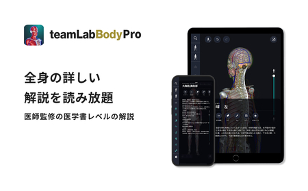teamLabBody Pro Premiumプラン 1年分【215001】