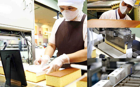 カステラ5本セット（幸せの黄色いカステラ3本、幸せの抹茶カステラ2本）[OBS008]