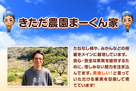 【訳あり】まーくん家のたねなし柿 2kg かき 種なし きただ農園まーくん家 《2025年9月下旬-10月末頃出荷》 和歌山県 紀の川市