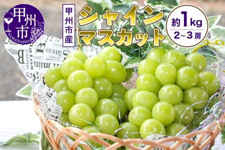山梨の自然が産んだスイートエメラルド甲州市産シャインマスカット！約1kg 2～3房【2026年発送】（UD）A08-865 【シャインマスカット 葡萄 ぶどう ブドウ 令和8年発送 期間限定 山梨県産 甲州市 フルーツ 果物】