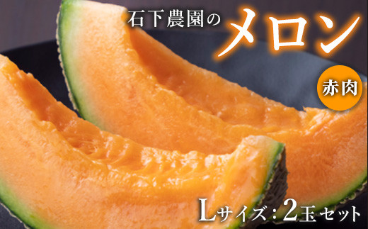 【先行予約】石下農園のクインシーメロン 赤肉 Lサイズ 2玉 ｜ 果物 くだもの フルーツ メロン 国産 クインシーメロン 赤肉 赤肉メロン 旬 期間限定 季節限定 夏季限定 産地直送 栃木県 芳賀町※2026年8月上旬～8月中旬頃まで順次発送予定※離島への配送不可