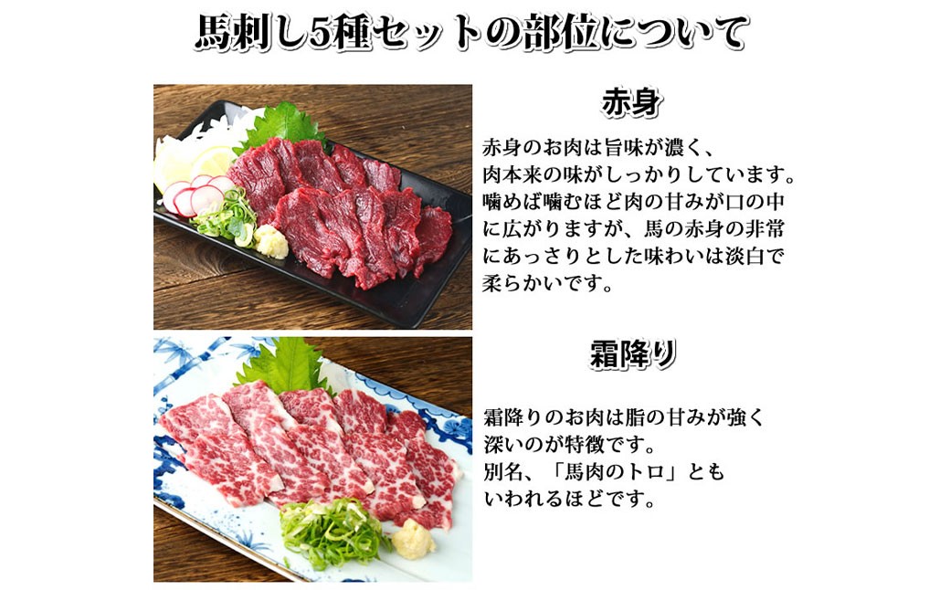 馬刺し5種盛り合わせ