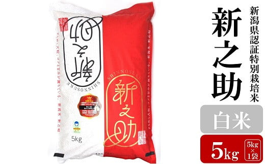 【令和6年産新米】新之助 白米 5kg 新潟県認証特別栽培米 お米 新潟県産 [Y0114]