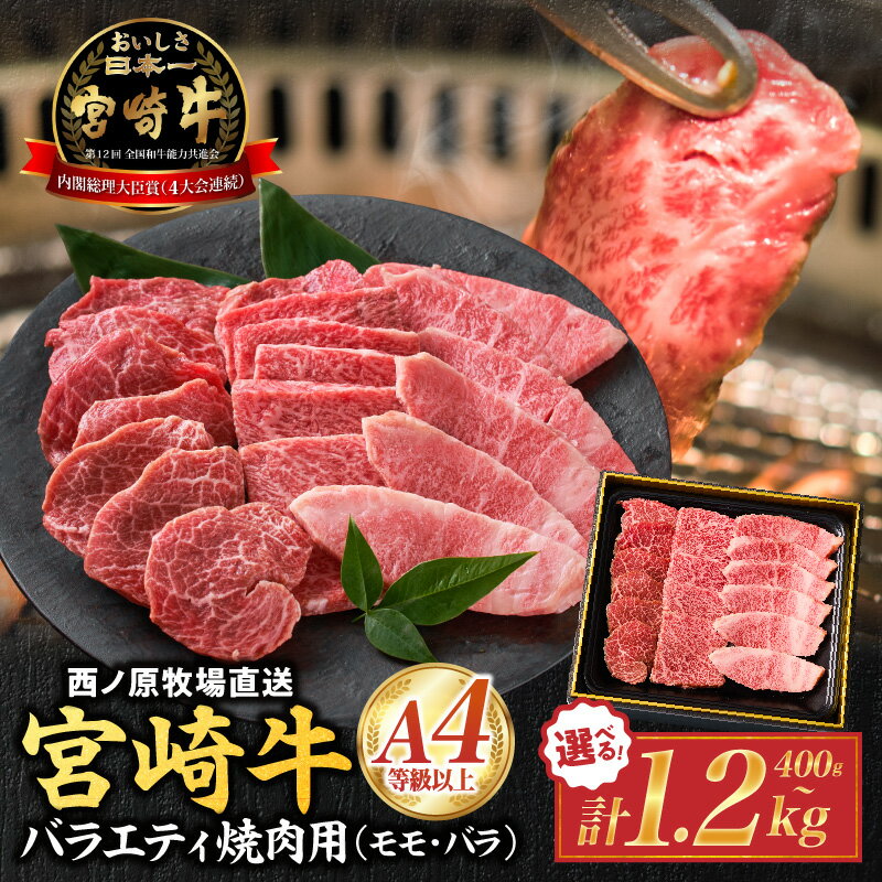【ふるさと納税】【A4等級以上】宮崎牛バラエティ焼肉用　400g~1.2kg 宮崎牛 牛肉 肉 モモ バラ 焼肉 セット BBQ 鉄板焼き 西ノ原牧場 《レビューキャンペーン実施中》