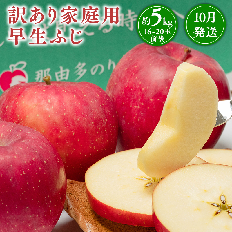 10月発送 【訳あり】家庭用早生ふじ 約5kg 【青森県 平川市 那由多のりんご園】 