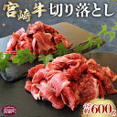 【ふるさと納税】＜宮崎牛切り落し 合計約600g (約300g×2パック)＞※入金確認後、2か月以内に順次出荷します。 牛肉 和牛 黒毛和牛 お肉 株式会社SHINGAKI 国富店 宮崎県 国富町 0505_sh【冷凍】