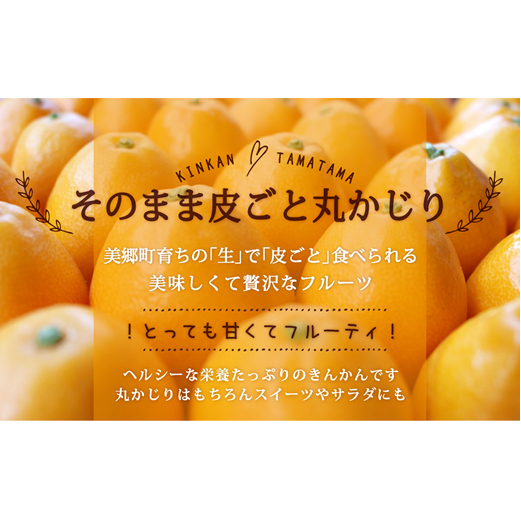 【期間限定発送】 糖度16度以上 きんかん 「たまたま」 1kg A2Lサイズ [農林産物直売所 美郷ノ蔵 宮崎県 美郷町 31ab0062] 金柑 柑橘 果物 フルーツ 国産_イメージ3