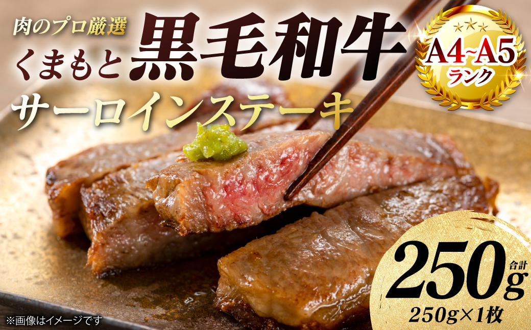【A4～A5ランク】 くまもと黒毛和牛 サーロイン ステーキ 250g （250g×1枚） 和牛ステーキ 牛肉 お肉 サーロイン 黒毛和牛 冷凍 小分け 焼肉 BBQ おかず ギフト 熊本県 八代市