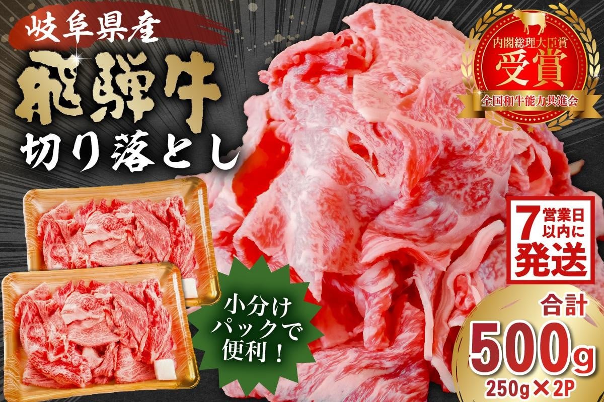 
             飛騨牛切り落とし500ｇ（250ｇ×2）【 牛肉 カレー シチュー 牛丼 肉じゃが 牛しぐれ煮 牛すき煮 炒め物 食品 肉 国産 和牛 ブランド牛 ブランド 小分け パック セット 国産牛 お肉 ロース 赤身 バラ ミックス 冷凍 料理 岐阜県 】
          