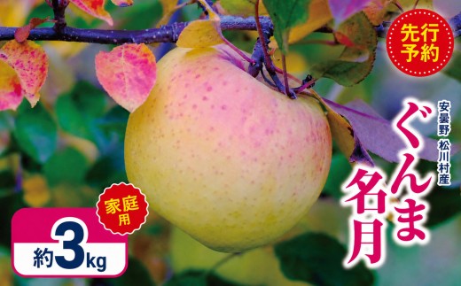 【2026年先行予約】訳あり 家庭用 ぐんま名月 約3kg ｜ 山とりんご リンゴ りんご 林檎 果物 フルーツ 果実 果汁 ぐんま名月 ぐんまめいげつ 家庭用 長野県 松川村 北アルプス 信州