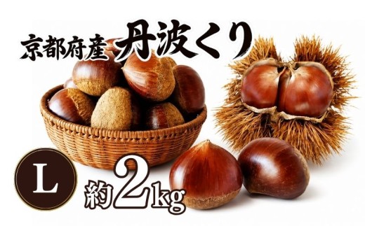 《先行予約》  2026年度産 丹波くり 約2kg Lサイズ