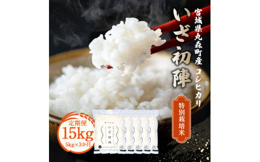 
            【定期便】令和6年産 新米 精米 ブランド米「いざ初陣」5kg（1kg×5個を3カ月）食味値85以上 整粒歩合80%以上【0122001】
          