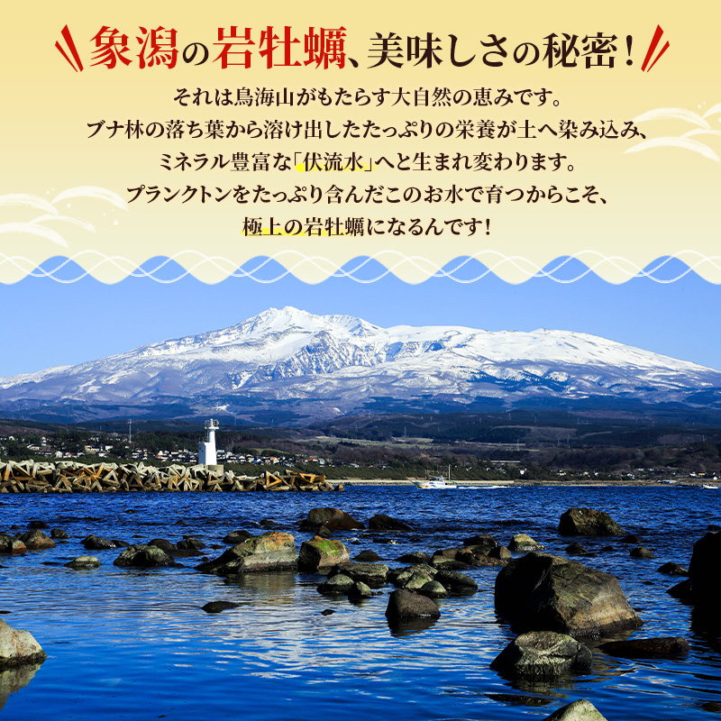 【 先行予約 7月上旬～下旬発送予定】象潟産 天然岩牡蠣 10～12個 ナイフ付【 牡蠣 夏牡蠣 かき 象潟 生食可 魚介類 海鮮 海産物 海の幸 】 佐藤鮮魚店
