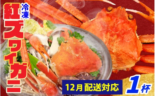 【先行予約】【数量・期間限定】福井県産 紅ズワイガニ ×1杯【急速冷凍】（プロトン凍結） 【12月より順次発送】｜ 紅ずわいがに かに 蟹 カニ  かにみそ かに鍋 かにしゃぶ ボイル