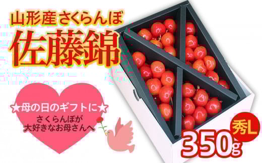 ★５月まるごと母の日★さくらんぼ 佐藤錦 秀L 350g (5/15～発送)【オンライン決済限定】 FS24-676