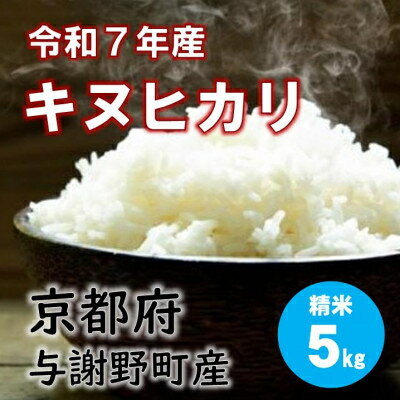 【ふるさと納税】特別栽培キヌヒカリ「京の豆っこ米」精米(5kg/10kg)【G1684174】