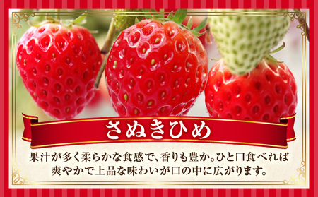 季節の恵み2回定期便D_mk165-t004