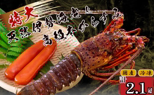 特大伊勢海老 3匹 高級 本からすみ 300g  ( 特大サイズ 急速冷凍 えび エビ からすみ カラスミ 珍味 高級 鮮魚 海鮮 魚介 魚卵 刺身 焼き物 汁物 セット ギフト 贈答 贈り物 祝い 