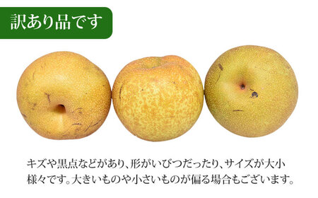 ＜ R8年熊本地震復興支援 ＞訳あり 梨 3kg なし ナシ くだもの 果物 フルーツ 国産 九州 熊本県 熊本市 冷蔵 【2026年8月上旬～10月下旬迄発送予定】