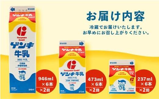 【ふるさと納税限定】【定期便_2回】ゲンキ牛乳バリューセット【八重山ゲンキ乳業】【日本最南端の乳業】【伊盛牧場産 生乳100％使用】GN-3_2t 定期便2回
