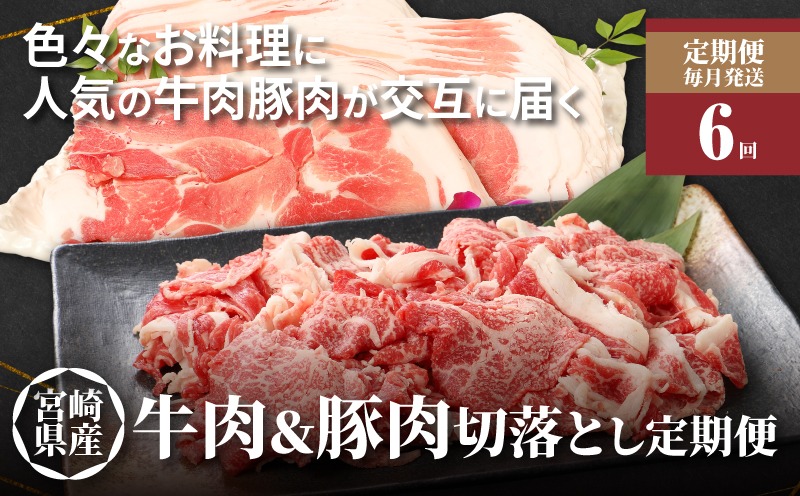【6回定期便】宮崎県産 黒毛和牛切落し1kg(500g×2P)・訳あり豚切落し3kg(500g×6P) 交互にお届け_K16_T003_4