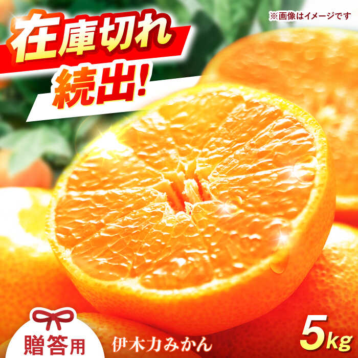 【ふるさと納税】※【2025年11月発送分／先行予約】伊木力みかん 「はなまるみかん」（贈答用） 5kg / みかん ミカン 蜜柑 mikan 柑橘 かんきつ フルーツ ふるーつ 果物 くだもの / 諫早市 / 株式会社山野果樹園 [AHCF003]