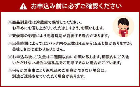 福岡県産 博多あまおう 約1.68kg (約280g×6パック入り)【2025年1月下旬～3月下旬発送予定】 いちご 苺 果物 フルーツ