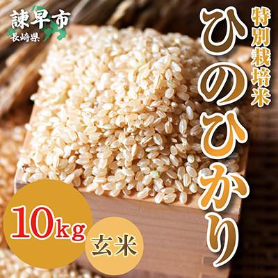 ふるさと納税 諫早市 【令和7年産】特別栽培米・九州のこだわり米「ひのひかり」 玄米10kg |  | 01