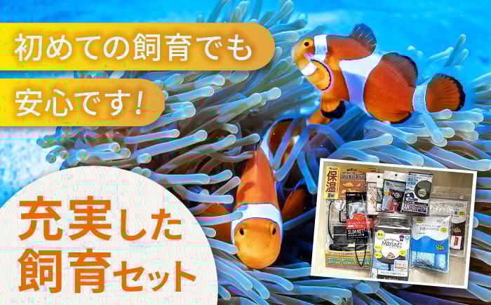 すぐに始められれる安心アクアリウム 海水魚 観賞魚 カクレクマノミ 熱帯魚