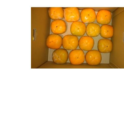 ふるさと納税 橋本市 【先行受付】橋本市産　たねなし柿　7.5kg |  | 02