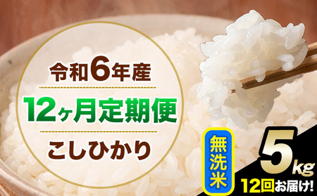 【12ヶ月定期便】令和6年産 定期便 こしひかり 無洗米 定期便 5kg 精米 熊本県産(南阿蘇村産含む)  南阿蘇村《申込み翌月から発送》｜人気米 熊本県産米  生活応援米