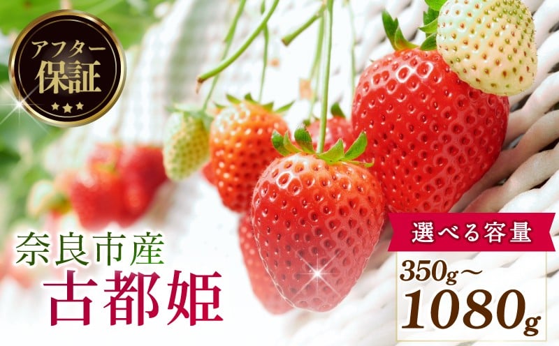 
                  【数量限定】 2026年発送 苺 いちご 古都姫 約350 (1パック) 約540g (270g×2パック) 約1080g (270g×4パック) ゆりかーご 冷蔵 小分け 果物 スイーツ デザート くだもの フルーツ ベリー ふるさと納税 いちご 大粒 採れたて 完熟 おやつ 産地直送 先行予約 数量限定 季節限定 ブランド イチゴ ギフト お祝い 中村農園 奈良県 奈良市
                