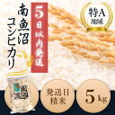 【ふるさと納税】【5日以内発送/令和6年産/5kg】南魚沼産コシヒカリ　うちやま農園のお米【発祥の地】 | 送料無料 魚沼産 コシヒカリ 魚沼 新潟 新潟県産 米 お米 産直 産地直送 お取り寄せ 人気 御中元 御歳暮 農家直送