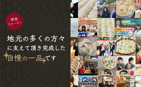 巣鴨餃子 しそ水餃子としそ焼餃子 の組み合わせ 各2袋 48個 餃子 ぎょうざ ギョーザ セット 食べ比べ 冷凍 鍋 スープ おかず おつまみ お取り寄せ 豊島区 東京都